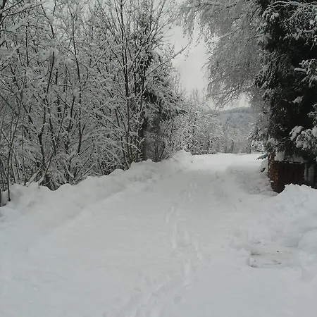 Sonnberger Seeboden
